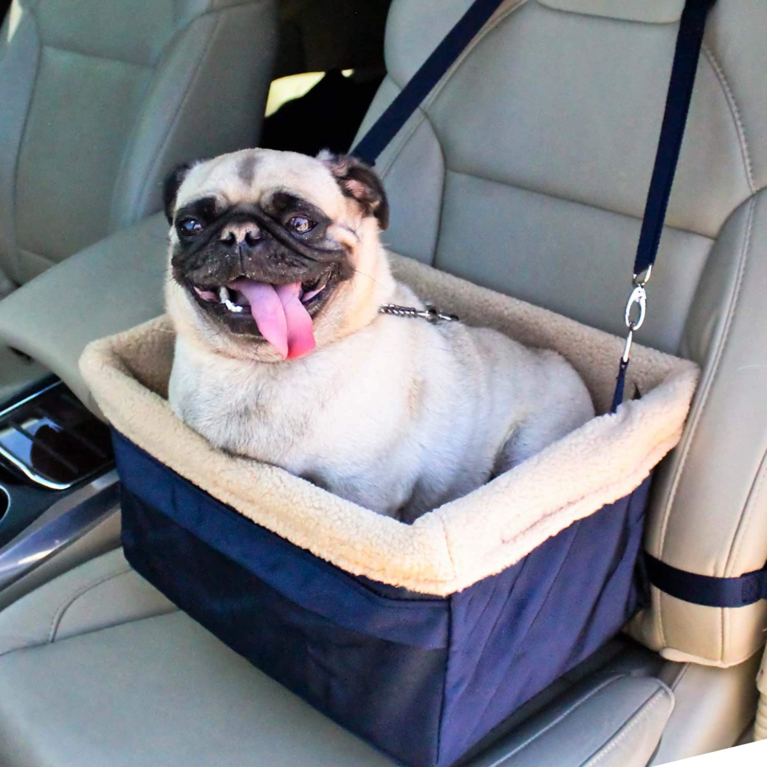 Car-dog-seat